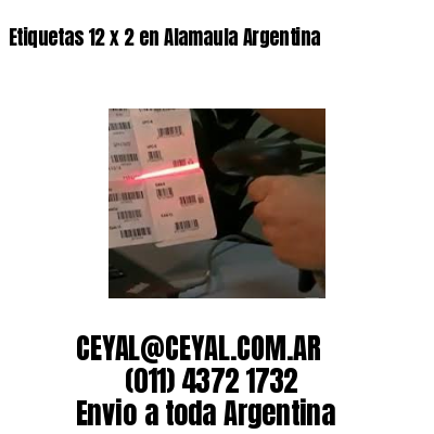 Etiquetas 12 x 2 en Alamaula Argentina