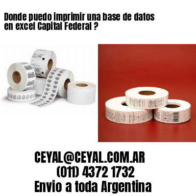 Donde puedo imprimir una base de datos en excel Capital Federal ?