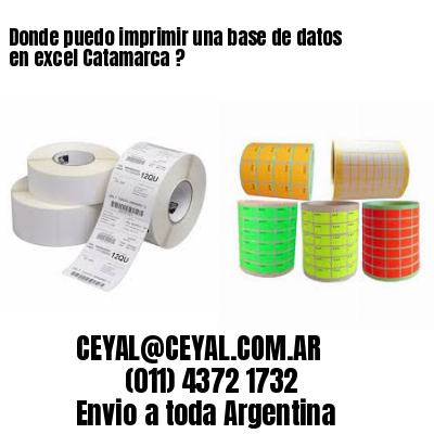 Donde puedo imprimir una base de datos en excel Catamarca ?