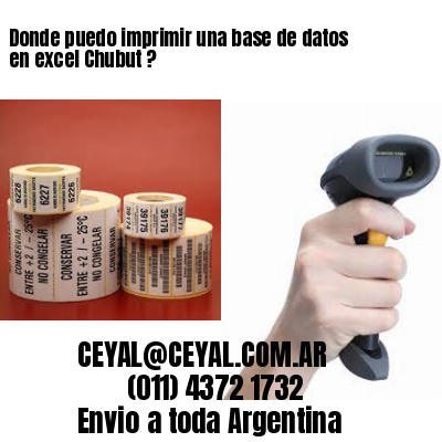 Donde puedo imprimir una base de datos en excel Chubut ?