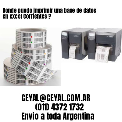 Donde puedo imprimir una base de datos en excel Corrientes ?
