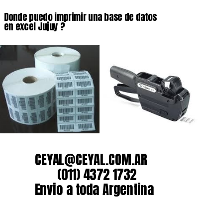Donde puedo imprimir una base de datos en excel Jujuy ?
