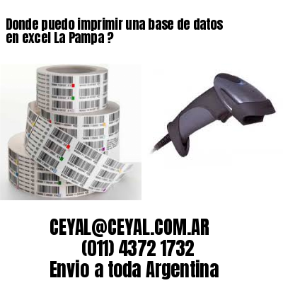 Donde puedo imprimir una base de datos en excel La Pampa ?