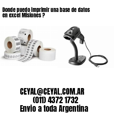Donde puedo imprimir una base de datos en excel Misiones ?