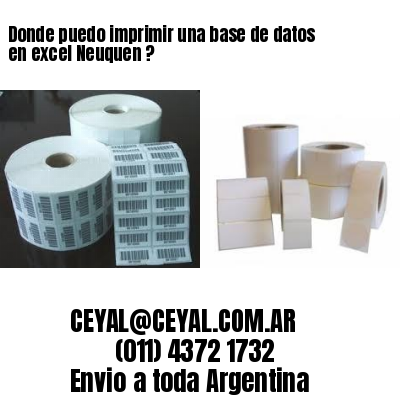 Donde puedo imprimir una base de datos en excel Neuquen ?