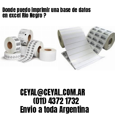 Donde puedo imprimir una base de datos en excel Rio Negro ?
