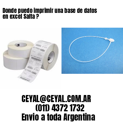 Donde puedo imprimir una base de datos en excel Salta ?