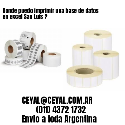 Donde puedo imprimir una base de datos en excel San Luis ?