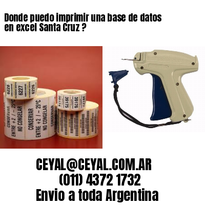 Donde puedo imprimir una base de datos en excel Santa Cruz ?