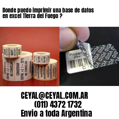Donde puedo imprimir una base de datos en excel Tierra del Fuego ?