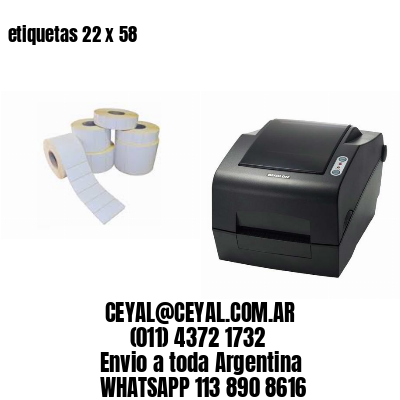 etiquetas 22 x 58