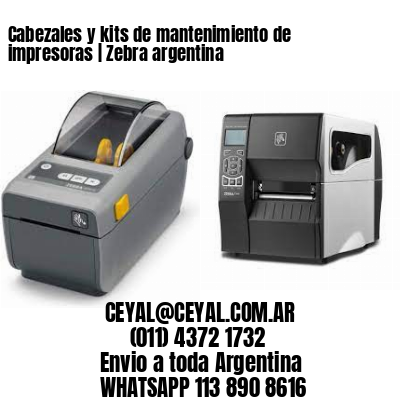 Cabezales y kits de mantenimiento de impresoras | Zebra argentina
