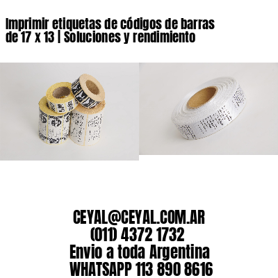 Imprimir etiquetas de códigos de barras de 17 x 13 | Soluciones y rendimiento