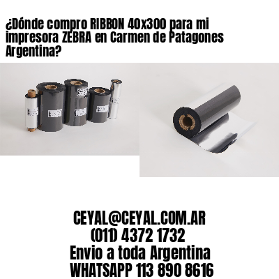 ¿Dónde compro RIBBON 40×300 para mi impresora ZEBRA en Carmen de Patagones Argentina?