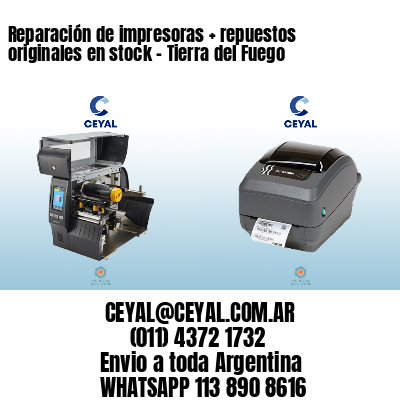 Reparación de impresoras + repuestos originales en stock – Tierra del Fuego