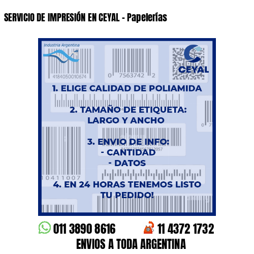 SERVICIO DE IMPRESIÓN EN CEYAL – Papelerías