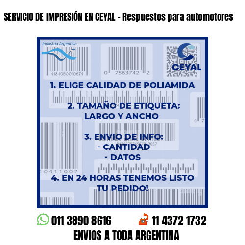 SERVICIO DE IMPRESIÓN EN CEYAL – Respuestos para automotores