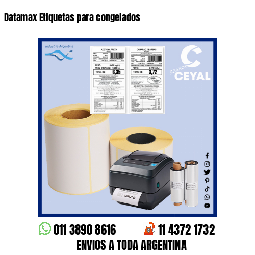 Datamax Etiquetas para congelados