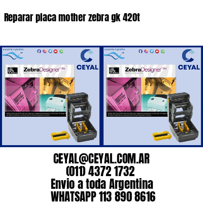 Reparar placa mother zebra gk 420t