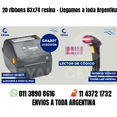 20 ribbons 83x74 resina - Llegamos a toda Argentina