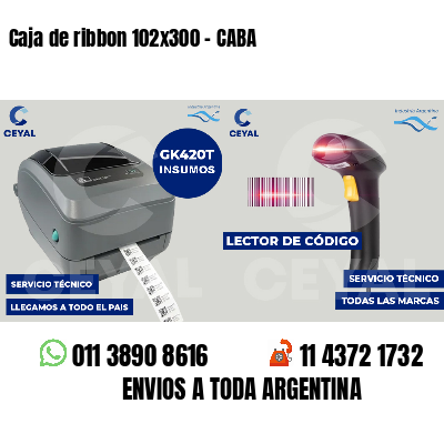 Caja de ribbon 102x300 - CABA