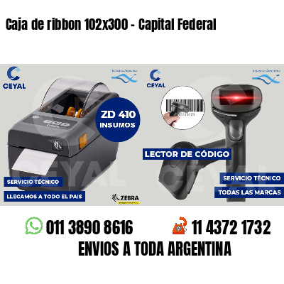 Caja de ribbon 102x300 - Capital Federal