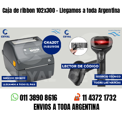 Caja de ribbon 102x300 - Llegamos a toda Argentina