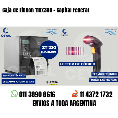 Caja de ribbon 110x300 - Capital Federal