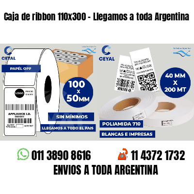 Caja de ribbon 110x300 - Llegamos a toda Argentina