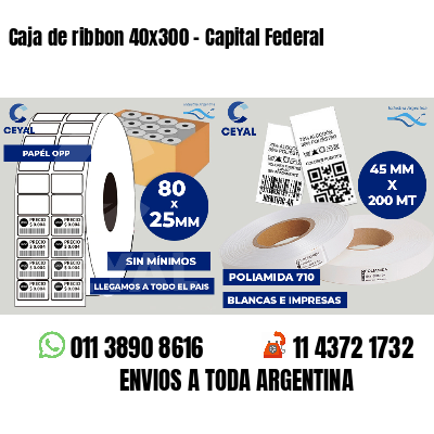 Caja de ribbon 40x300 - Capital Federal
