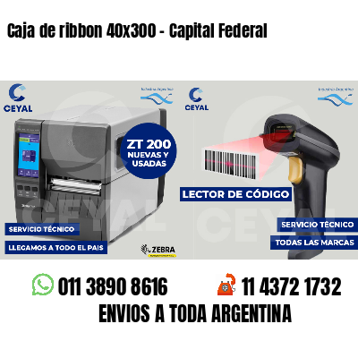 Caja de ribbon 40x300 - Capital Federal