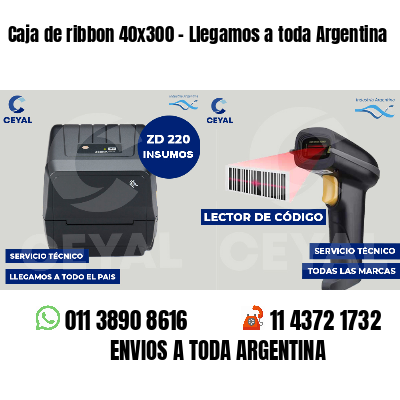 Caja de ribbon 40x300 - Llegamos a toda Argentina