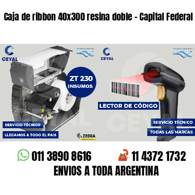 Caja de ribbon 40x300 resina doble - Capital Federal