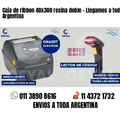 Caja de ribbon 40x300 resina doble - Llegamos a toda Argentina