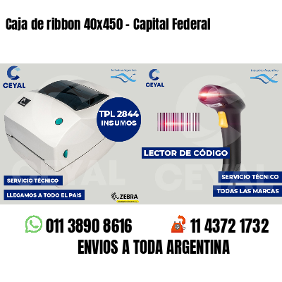 Caja de ribbon 40x450 - Capital Federal