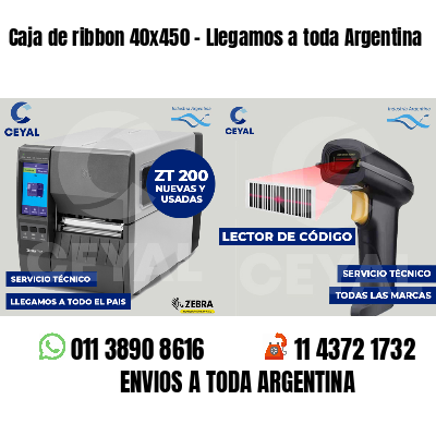 Caja de ribbon 40x450 - Llegamos a toda Argentina