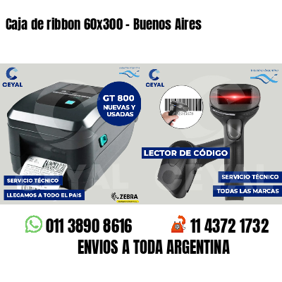 Caja de ribbon 60x300 - Buenos Aires