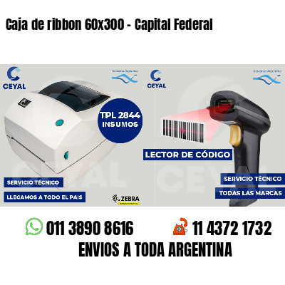 Caja de ribbon 60x300 - Capital Federal