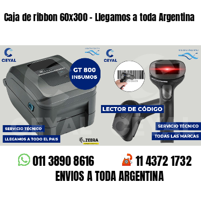 Caja de ribbon 60x300 - Llegamos a toda Argentina