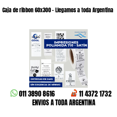 Caja de ribbon 60x300 - Llegamos a toda Argentina