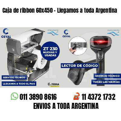 Caja de ribbon 60x450 - Llegamos a toda Argentina