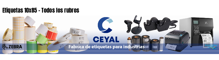 Etiquetas 10x85 - Todos los rubros