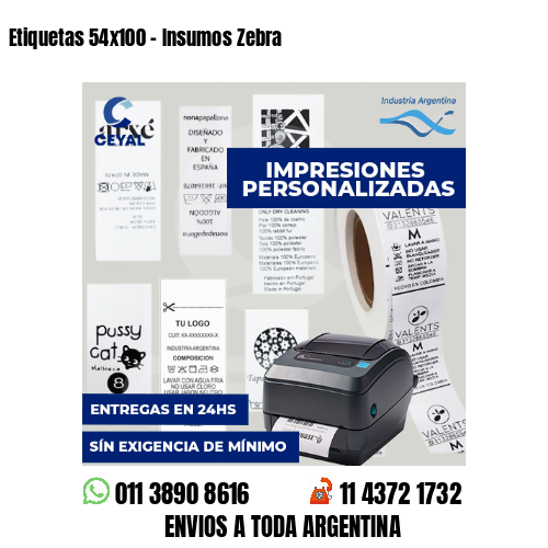 Etiquetas 54x100 - Insumos Zebra