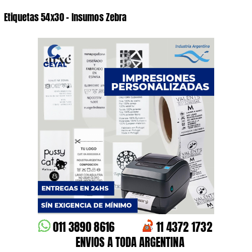Etiquetas 54x30 - Insumos Zebra