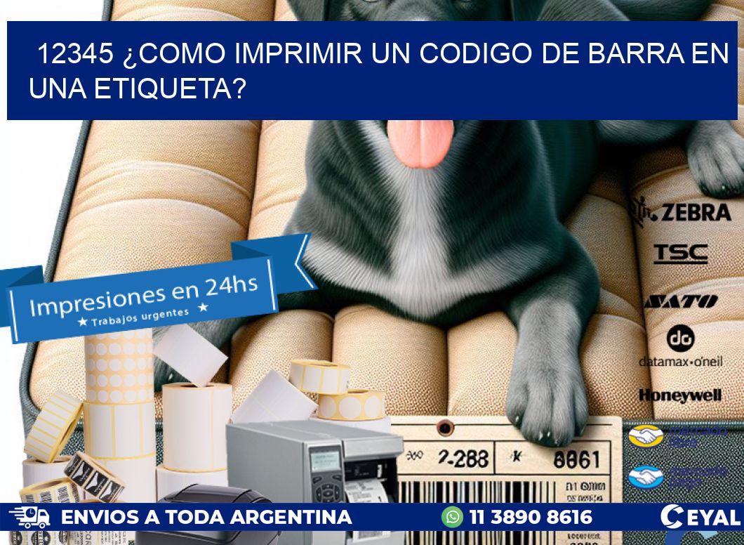 12345 ¿COMO IMPRIMIR UN CODIGO DE BARRA EN UNA ETIQUETA? | Etiquetas ...