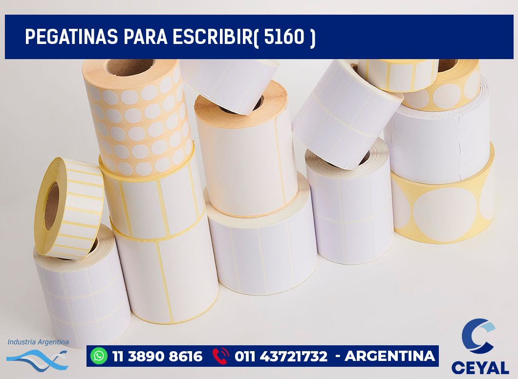 PEGATINAS PARA ESCRIBIR( 5160 )