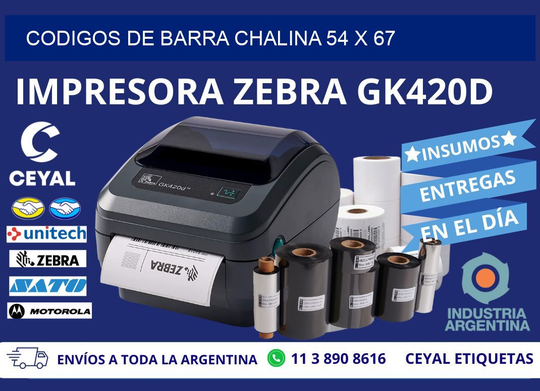 CODIGOS DE BARRA CHALINA 54 x 67