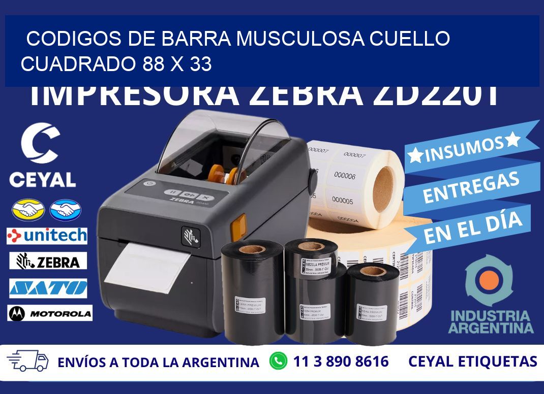 CODIGOS DE BARRA MUSCULOSA CUELLO CUADRADO 88 x 33