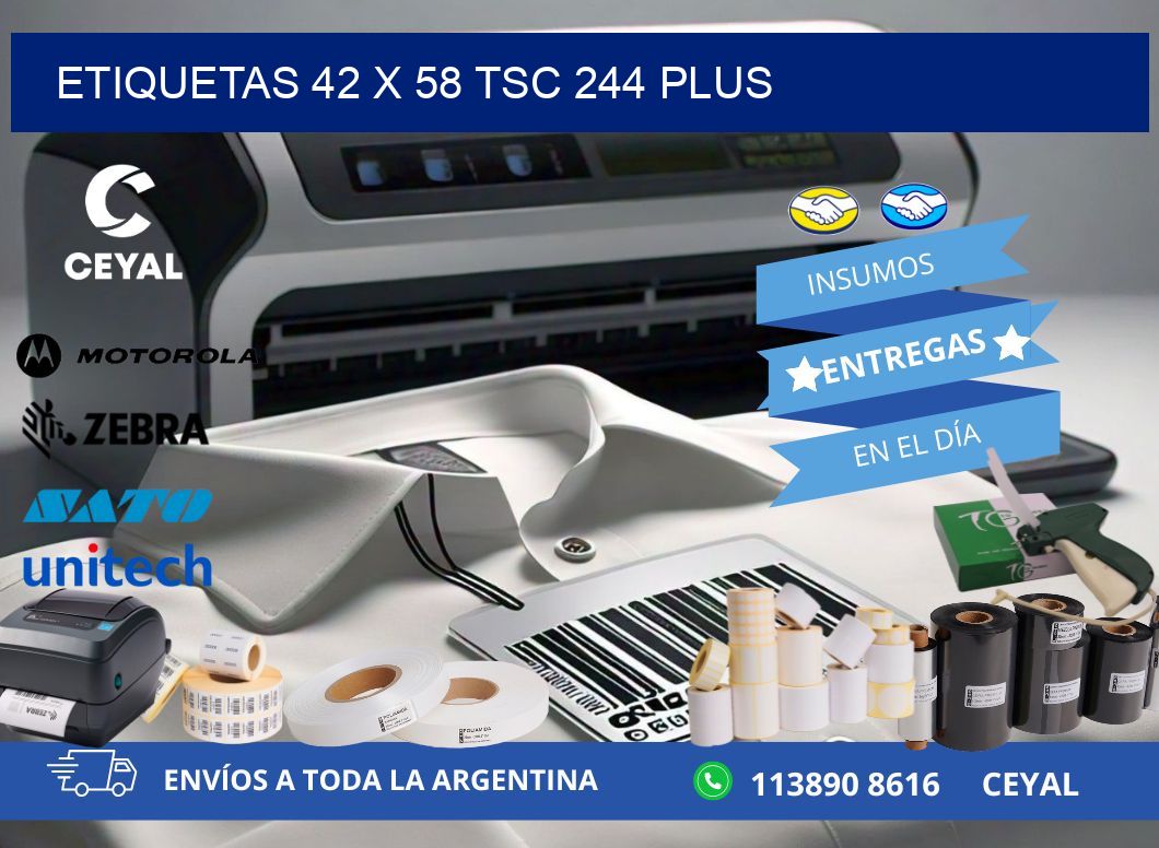 ETIQUETAS 42 x 58 TSC 244 PLUS