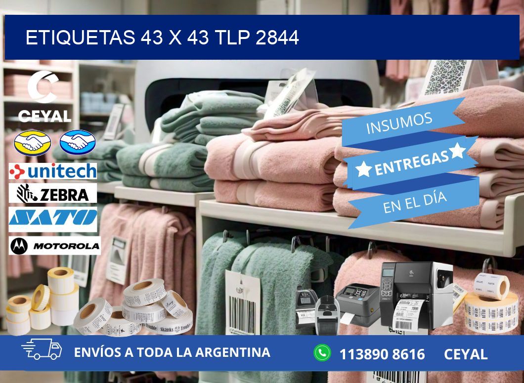 ETIQUETAS 43 x 43 TLP 2844